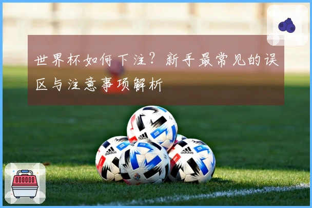 世界杯如何下注？新手最常见的误区与注意事项解析