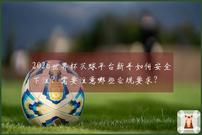 2026世界杯买球平台新手如何安全下注？需要注意哪些合规要求？