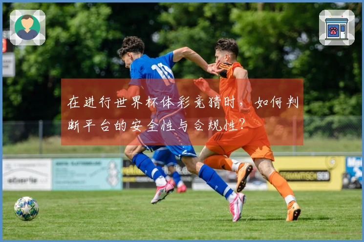在进行世界杯体彩竞猜时，如何判断平台的安全性与合规性？