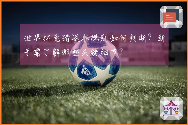 世界杯竞猜返水规则如何判断?新手需了解哪些关键细节?