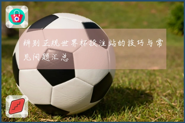辨别正规世界杯投注站的技巧与常见问题汇总
