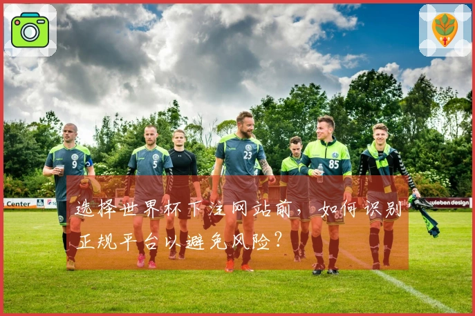 选择世界杯下注网站前,如何识别正规平台以避免风险?