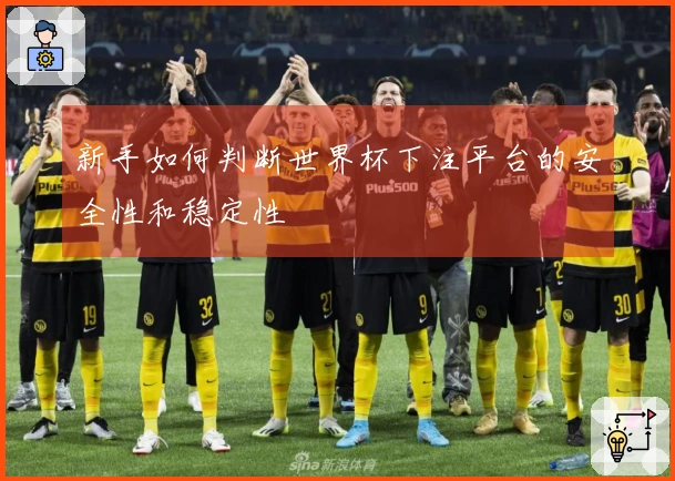 新手如何判断世界杯下注平台的安全性和稳定性