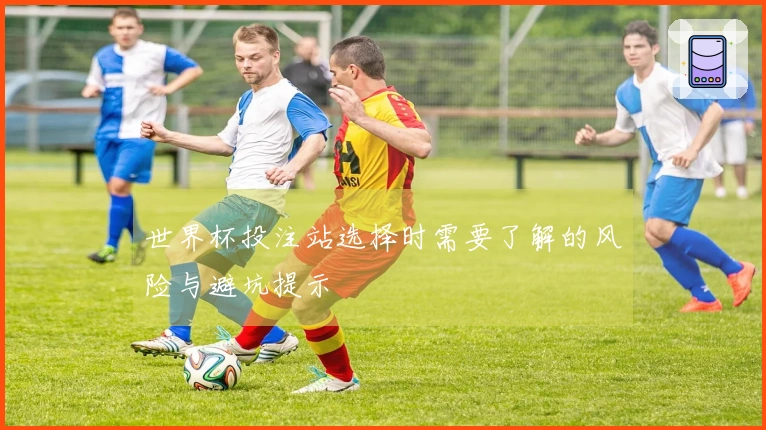 世界杯投注站选择时需要了解的风险与避坑提示