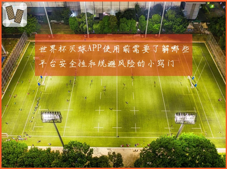 世界杯买球APP使用前需要了解哪些平台安全性和规避风险的小窍门