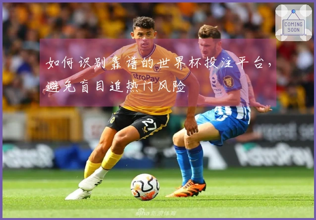 如何识别靠谱的世界杯投注平台,避免盲目追热门风险