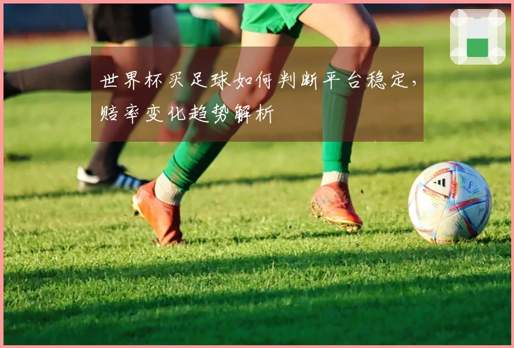 世界杯买足球如何判断平台稳定，赔率变化趋势解析