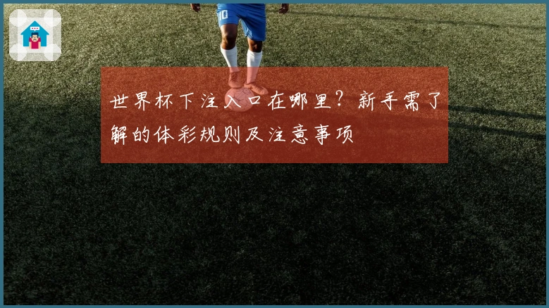 世界杯下注入口在哪里？新手需了解的体彩规则及注意事项