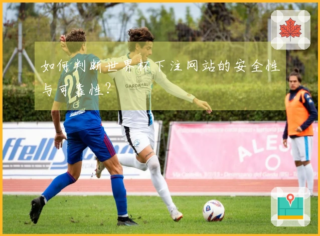 如何判断世界杯下注网站的安全性与可靠性？