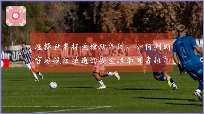 选择世界杯竞猜软件时,如何判断官方投注渠道的安全性和可靠性?