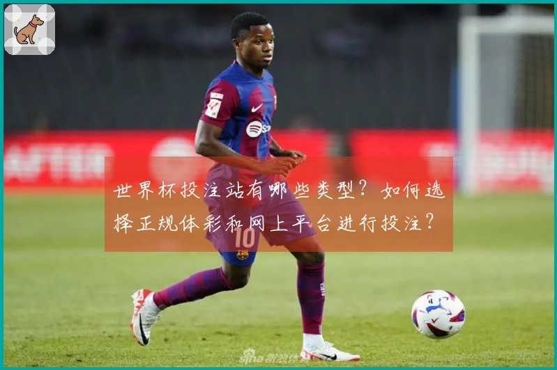 世界杯投注站有哪些类型？如何选择正规体彩和网上平台进行投注？