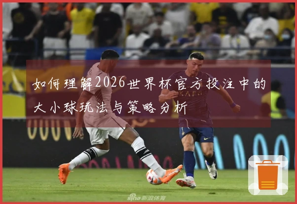 如何理解2026世界杯官方投注中的大小球玩法与策略分析