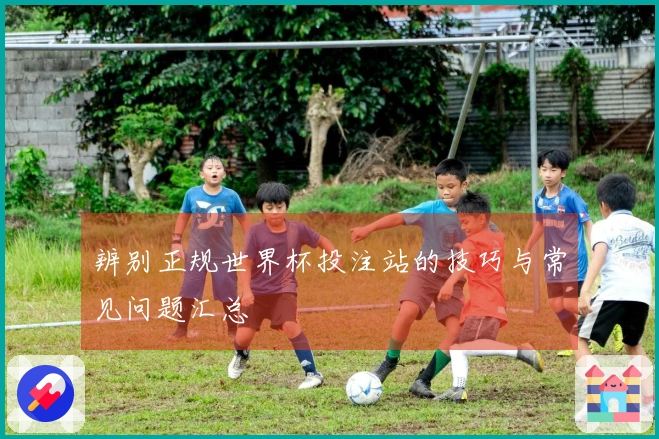 辨别正规世界杯投注站的技巧与常见问题汇总