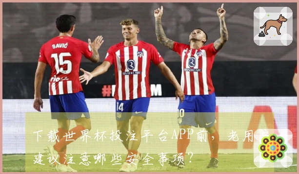 下载世界杯投注平台APP前，老用户建议注意哪些安全事项？
