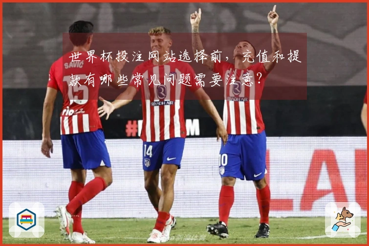 世界杯投注网站选择前，充值和提款有哪些常见问题需要注意？