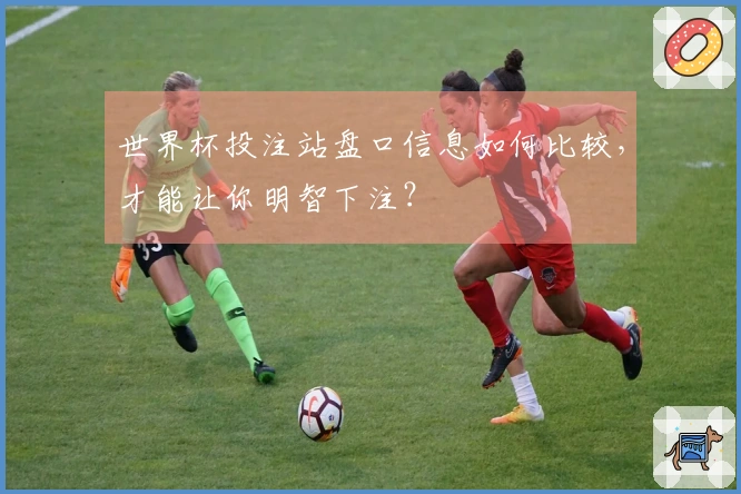 世界杯投注站盘口信息如何比较，才能让你明智下注？