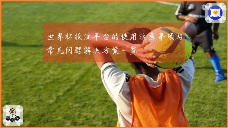 世界杯投注平台的使用注意事项与常见问题解决方案一览