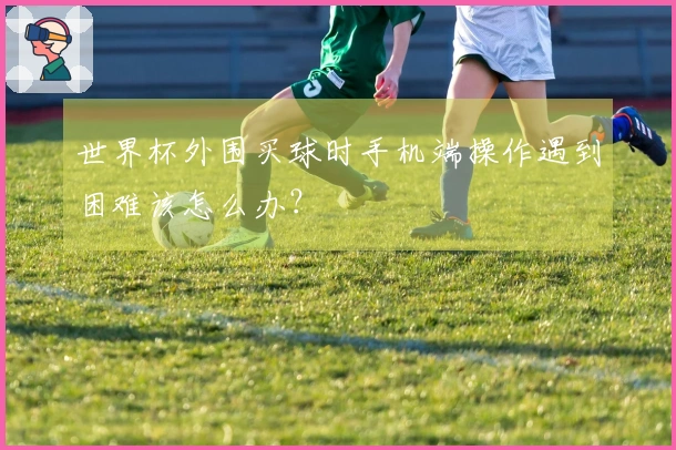 世界杯外围买球时手机端操作遇到困难该怎么办？