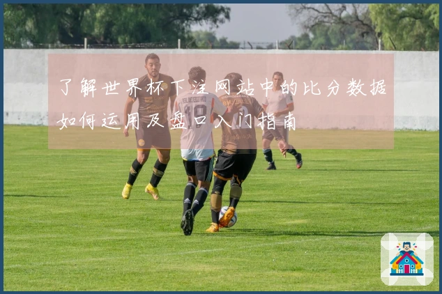 了解世界杯下注网站中的比分数据如何运用及盘口入门指南