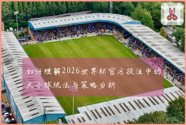 如何理解2026世界杯官方投注中的大小球玩法与策略分析